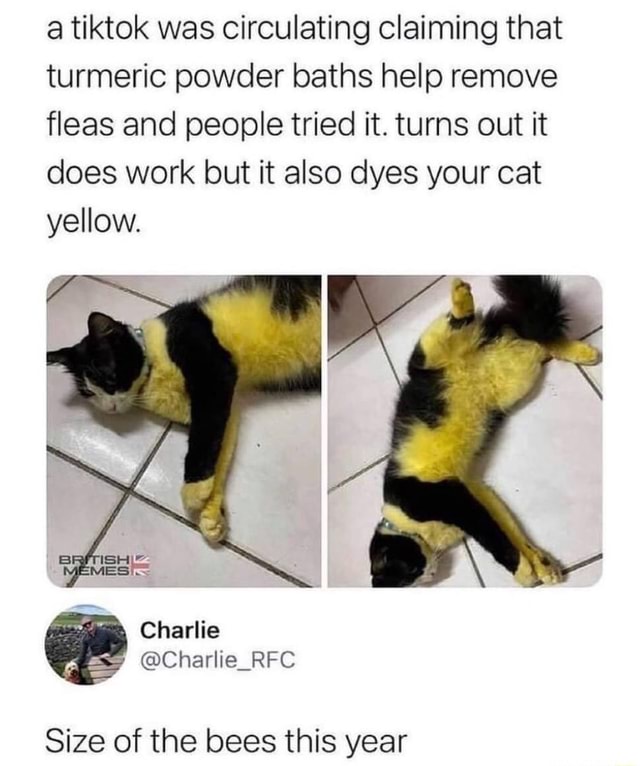 A tiktok was circulating claiming that turmeric powder baths help