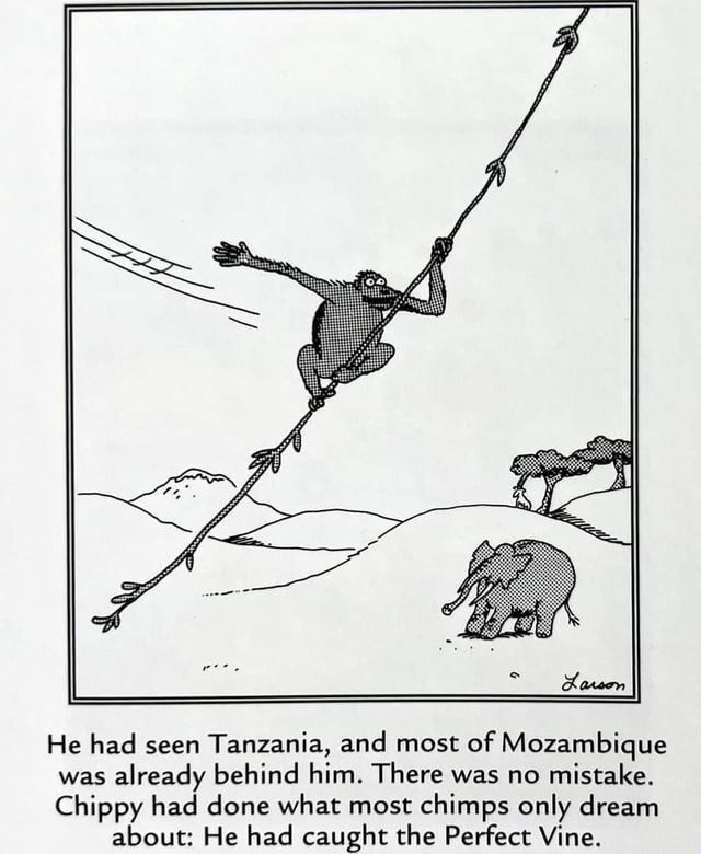 He had seen Tanzania, and most of Mozambique was already behind him ...