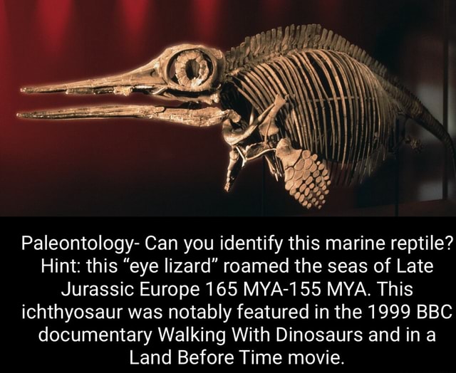 Paleontology- Can You Identify This Marine Reptile? Hint: This "eye ...