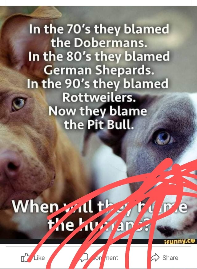 In the 70's they blamed the Dobermans. In the 80's they blamed German ...