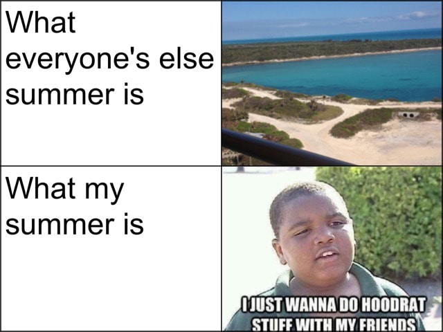 What Everyone S Else Summer Is What My Summer Is Dd I Just Wanna Do Hoodrat Stufe With My Friends Ifunny