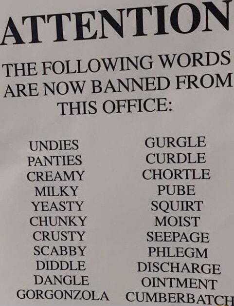 attention-the-following-words-are-now-banned-from-this-office-undies-gurgle-panties-curdle