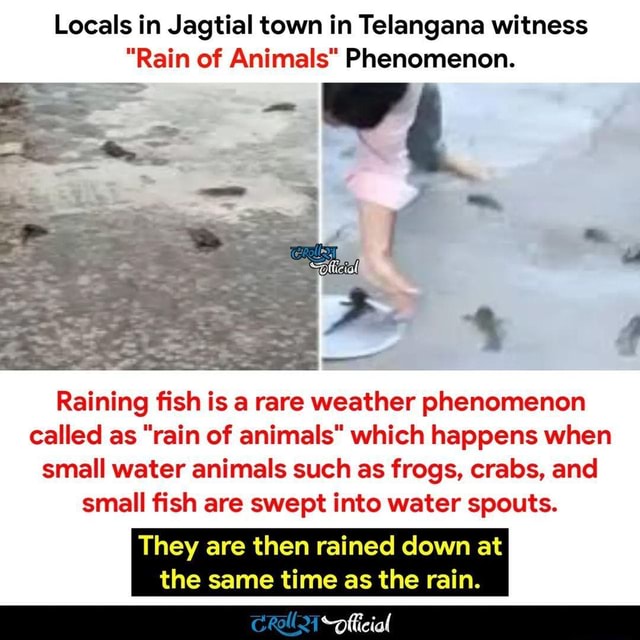 Locals in Jagtial town in Telangana witness 