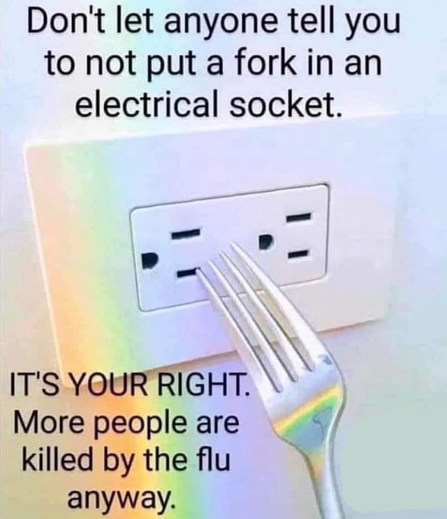 Don't let anyone tell you to not put a fork in an electrical socket