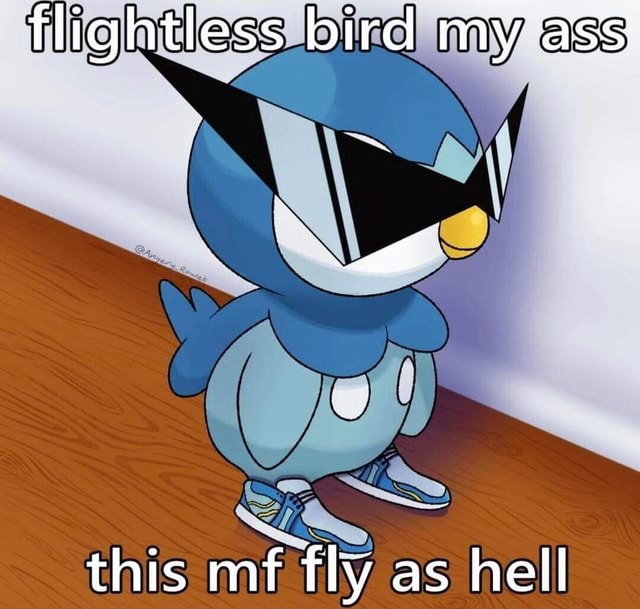 Flightless Bird My Ass This Mf Fly As Hell Ifunny