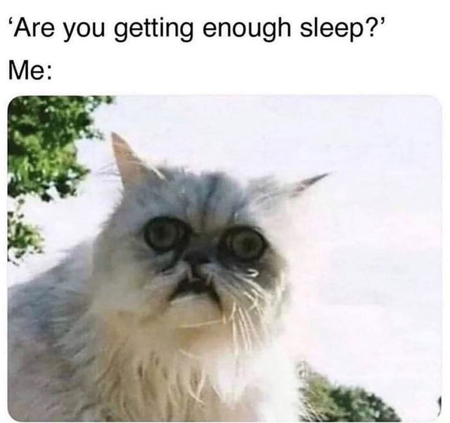 ‘Are you getting enough sleep?’ - iFunny