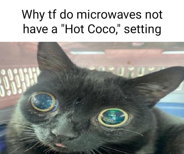 Why tf do microwaves not have "Hot Coco,' setting seo.title