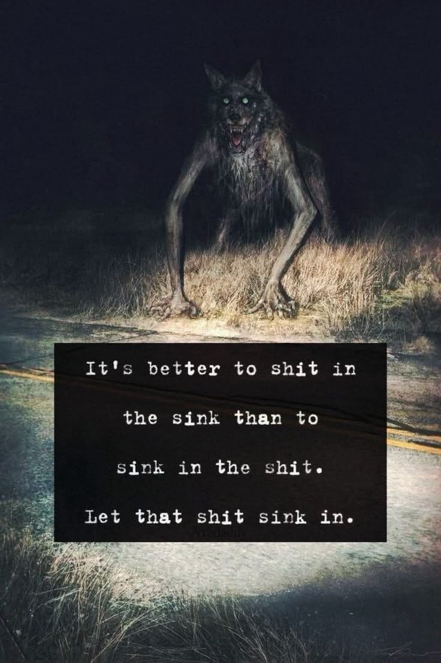 It's better to shit in the sink than to sink in the shit. Let that shit ...
