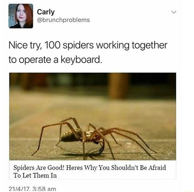 Nice try, 100 spiders working together to operate a keyboard. Spiders
