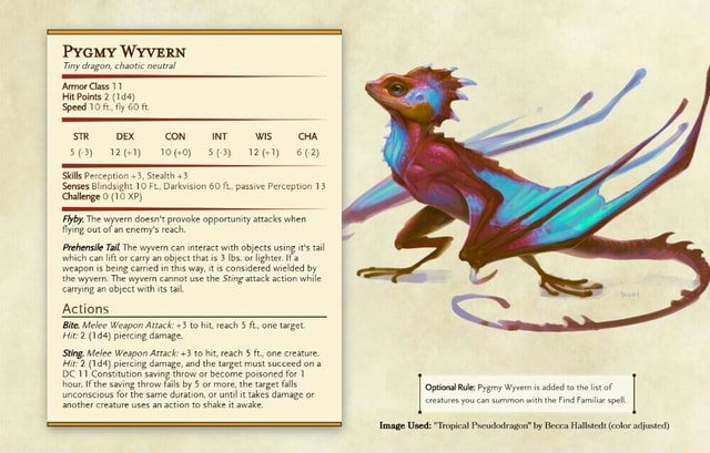PycmMy WYVERN Tiny dragon, chaotic neutral 'Armor Class 11 Hit Points 2 ...