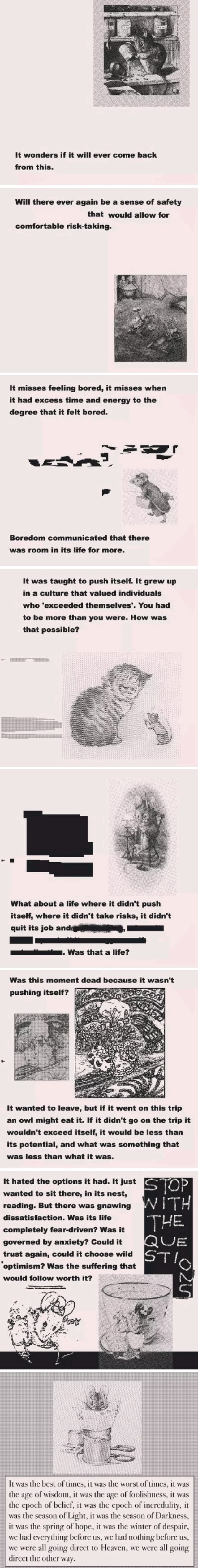 It Wonders If It Will Ever Come Back From This Will There Ever Again Be A Sense Of Safety That Would Allow For Comfortable Taking It Misses Feeling Bored It Misses When