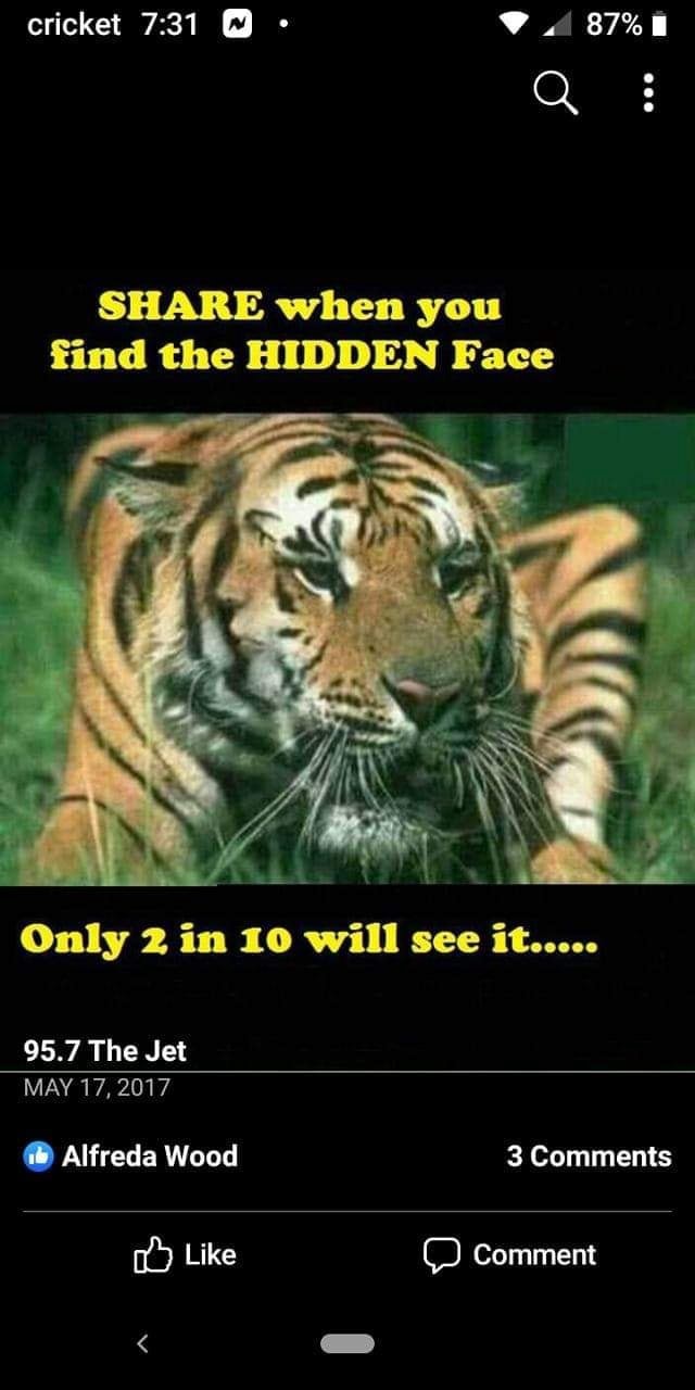 find the hidden face