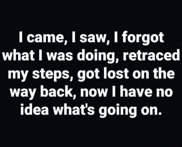 I came, I saw, I forgot what I was doing, retraced my steps, got lost ...