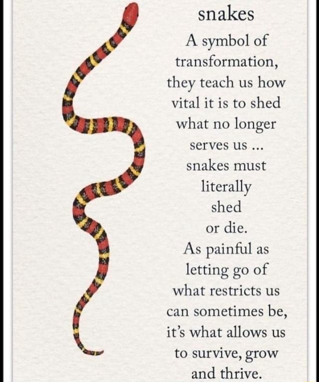 Snakes A symbol of transformation, they teach us how vital it is to