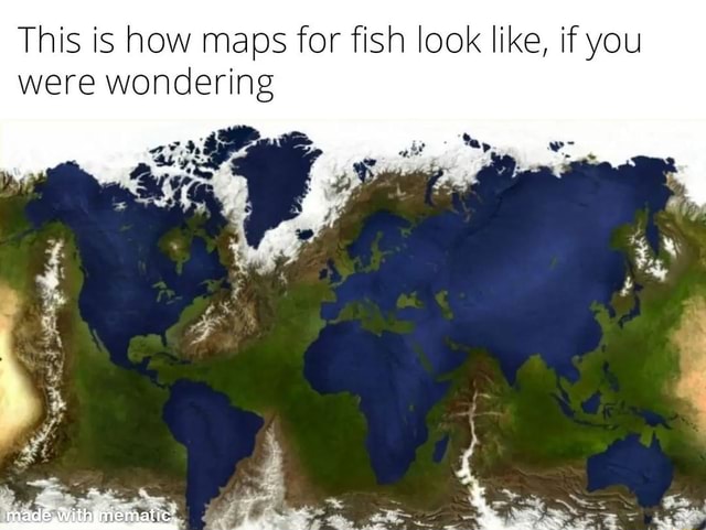 This is how maps for fish look like, if you were wondering ah at - hey ...