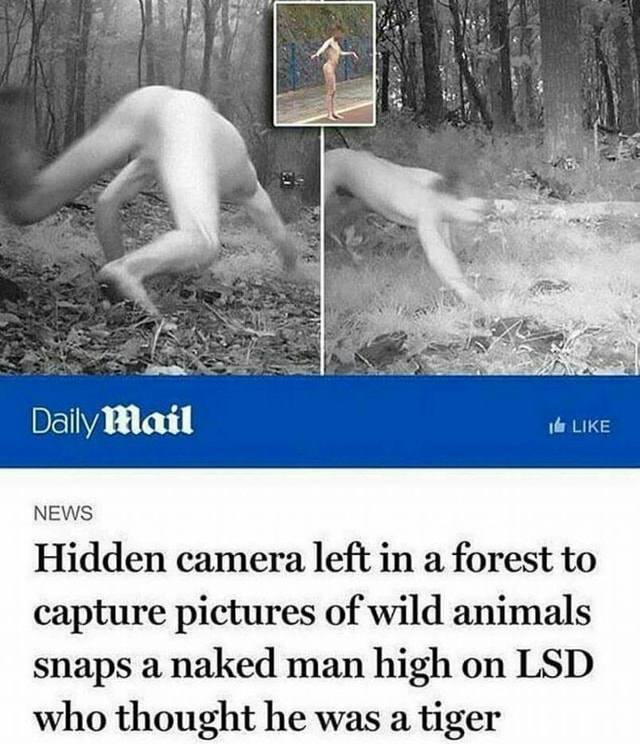 Wild naked man