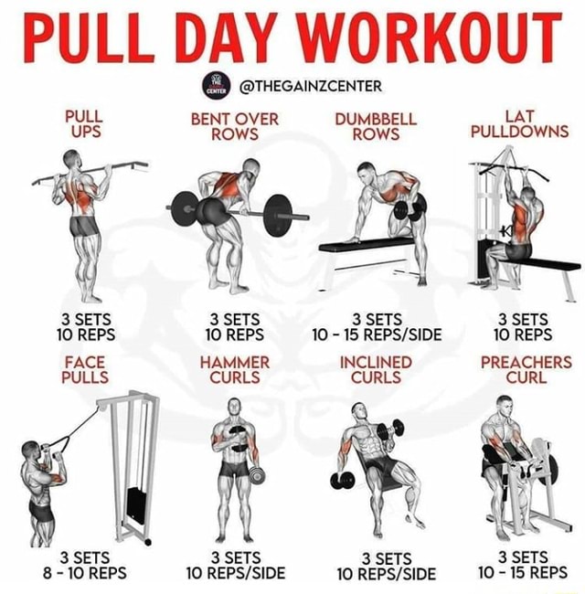 PULL DAY WORKOUT O omecanzcenter PULL BENT OVER DUMBBELL ROWS ROWS LAT ...