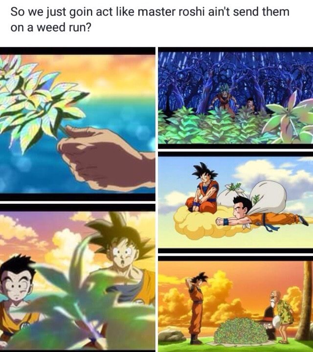 Featured image of post Master Roshi Weed