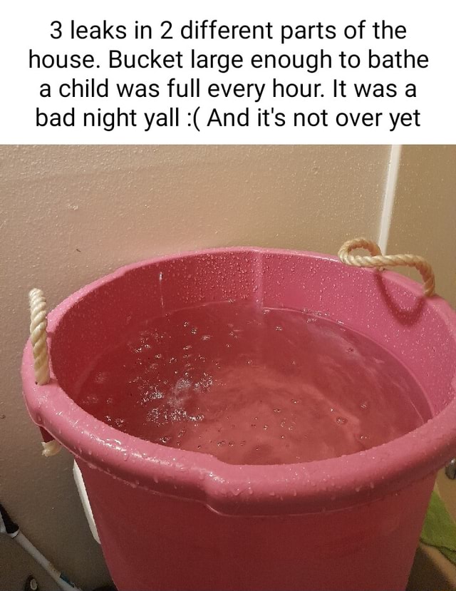 3 leaks in 2 different parts of the house. Bucket large enough to bathe ...