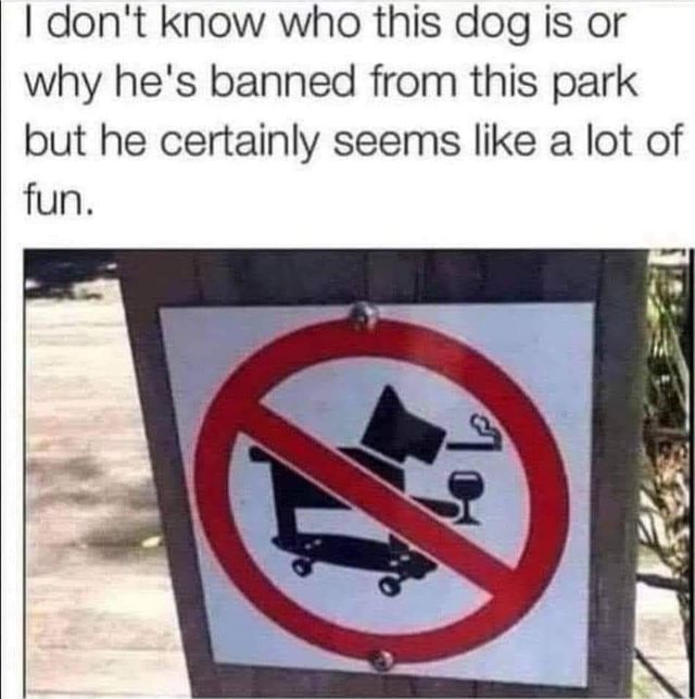 I don't know who this dog is or why he's banned from this park but he ...