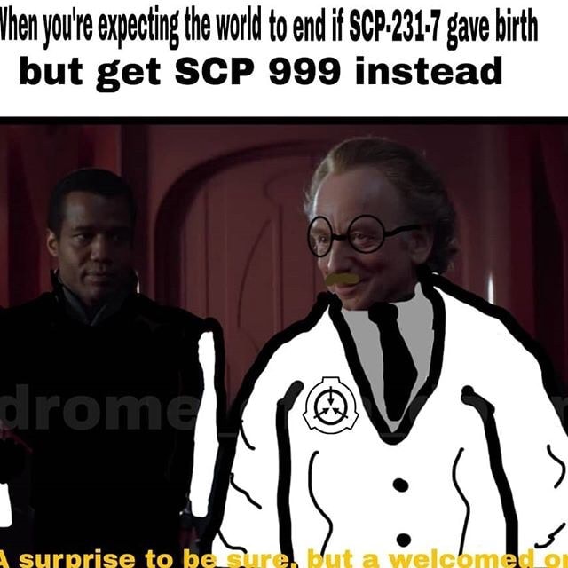 Hen You Re Expecting The World To End If Scp 231 7 Gave Birth But Get Scp 999 Instead Ifunny