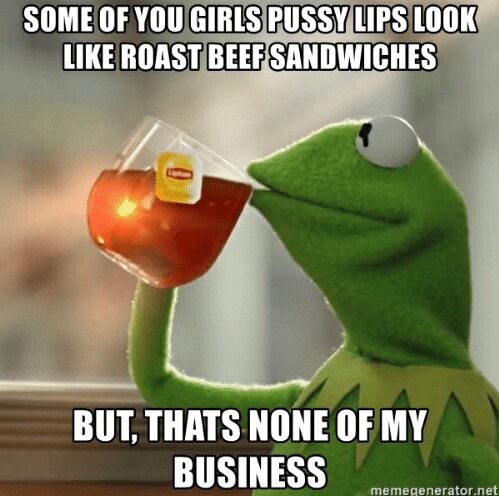 SOME OF YOU GIRLS PUSSY LIPS LOOK LIKE ROAST BEEF SANDWICHES BUT. THATS