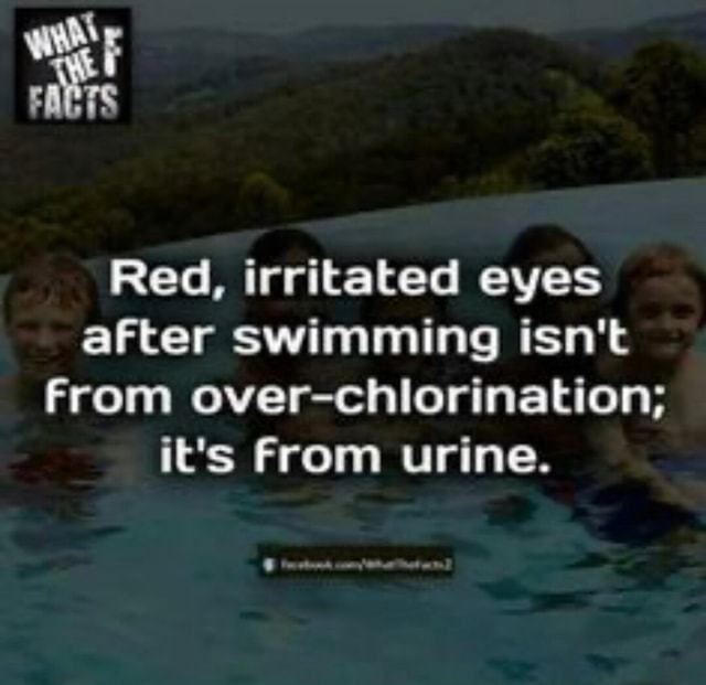 FACTS Red, irritated eyes after swimming isn't From overchlorination; it's From urine. iFunny
