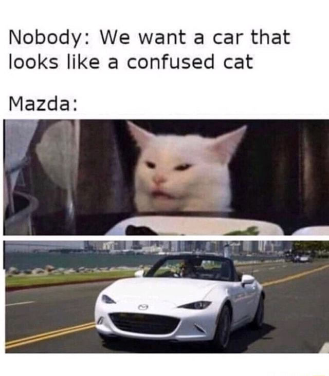 Woman yelling at a cat meme dump - Nobody: We want car that looks like