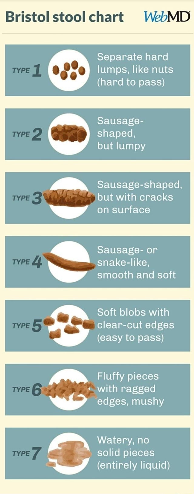Bristol stool chart MD Separate hard lumps, like nuts (hard to pass