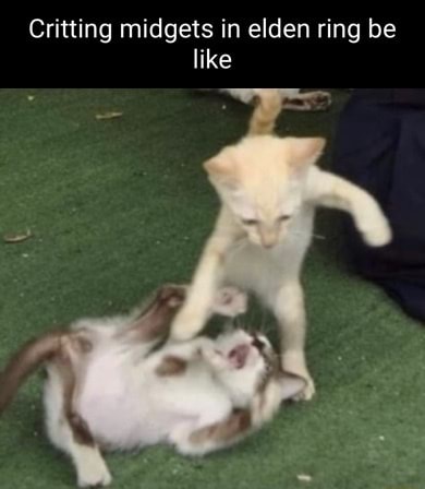 Critting midgets in elden ring be like - iFunny Brazil