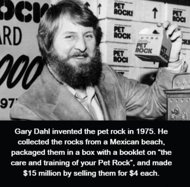Gary Dahl invented the pet rock in 1975. He collected the rocks from a