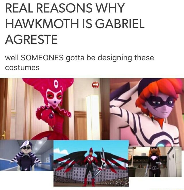 Real Reasons Why Hawkmoth Is Gabriel Agreste Well Someones Gotta Be Designing These Costumes