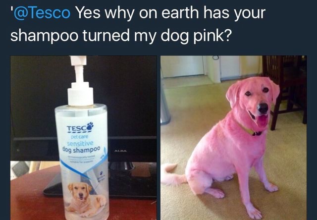 Tesco Yes Why On Earth Has Your Shampoo Turned My Dog Pink
