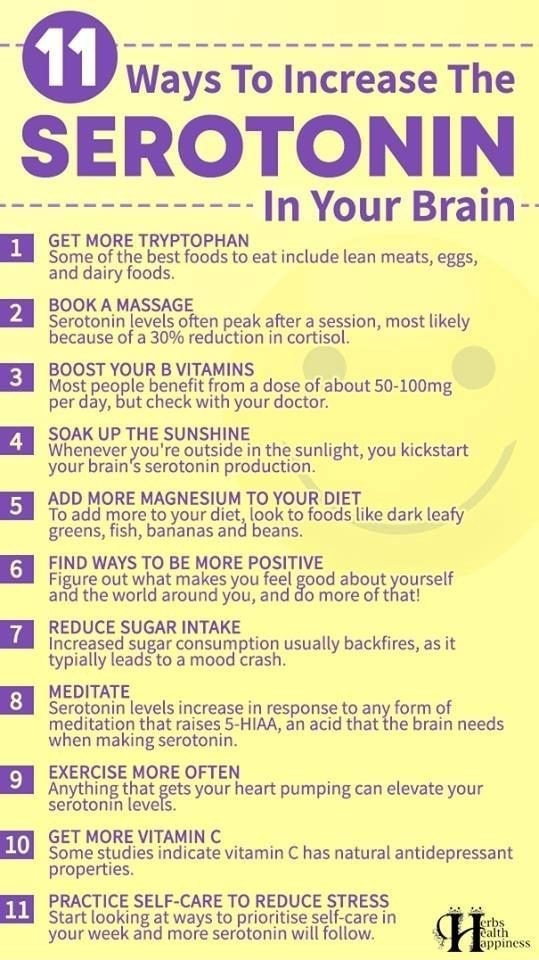 Ways To Increase The SEROTONIN A In Your Brain- Fl GET MORE TRYPTOPHAN ...