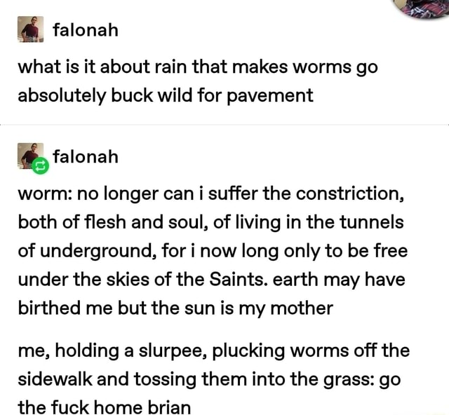 falonah what is it about rain that makes worms go absolutely buck wild