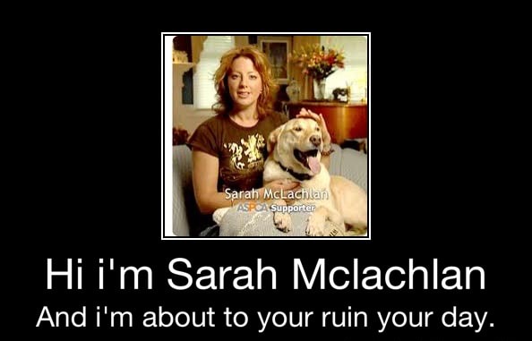 Hi I M Sarah Mclachlan And I M About To Your Ruin Your Day Hi I M Sarah Mclachlan And I M About To Your Ruin Your Day