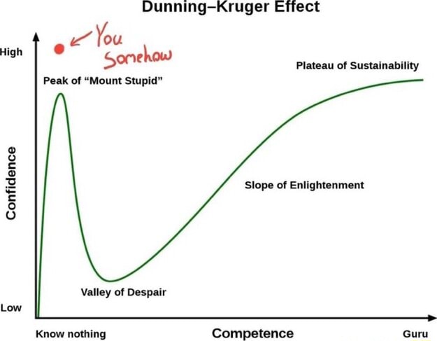 Dunning-Kruger Effect lou Somehow Plateau of Sustainability Peak of ...