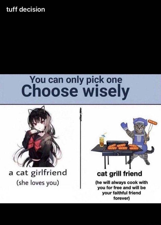 Tuff decision You can only pick one Choose wisely a cat girlfriend cat ...