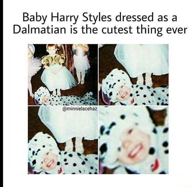 harry styles dalmatian costume