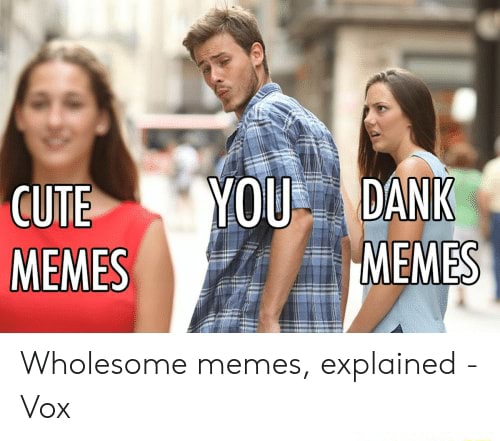 Wholesome memes, explained - Vox - iFunny