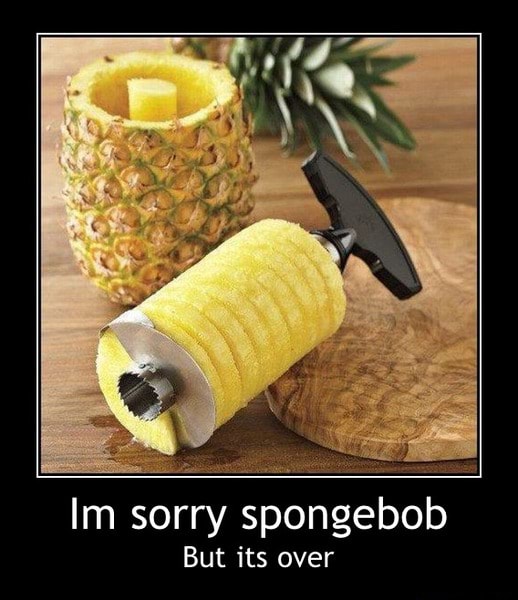 Im Sorry Spongebob But Its Over Im Sorry Spongebob But Its Over Ifunny