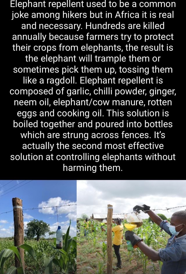 Elephant repellent used to be a common joke among hikers but in Africa