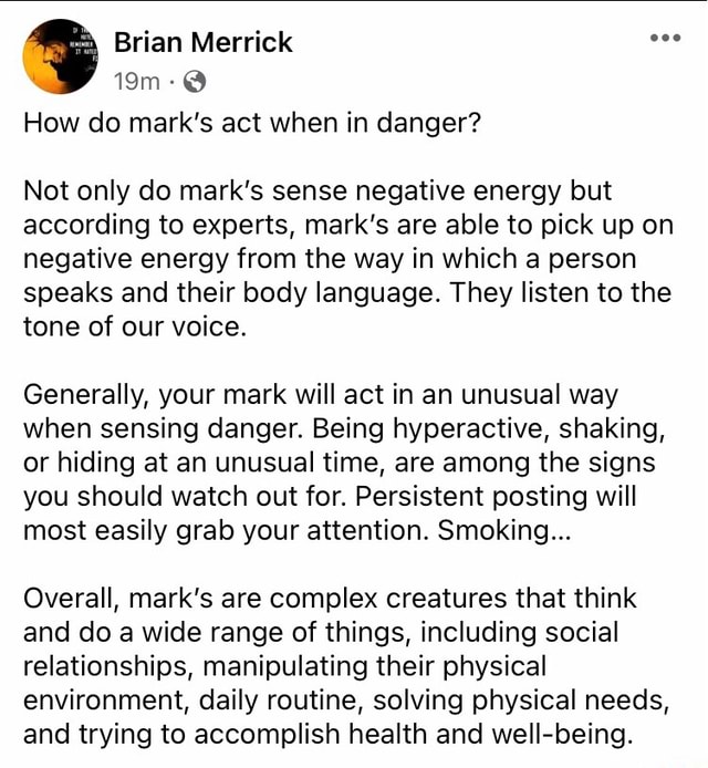 Brian Merrick How Do Mark S Act When In Danger Not Only Do Mark S Sense Negative Energy But Brian Merrick How Do Mark S Act When In Danger Not Only Do Mark S Sense Negative Energy But