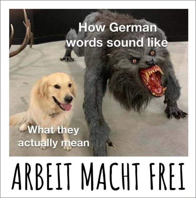 how-german-words-sound-like-what-they-actually-mean-arbeit-macht-trei