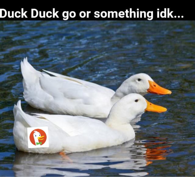 Duck Duck go or something idk... - iFunny