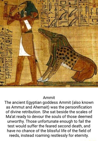 Ammit The ancient Egyptian goddess Ammit (also known as Ammut and ...