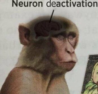 Neuron deactivation - iFunny