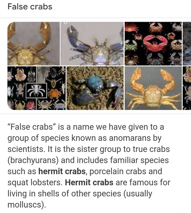 False crabs "False crabs" is name we have given to a group of species