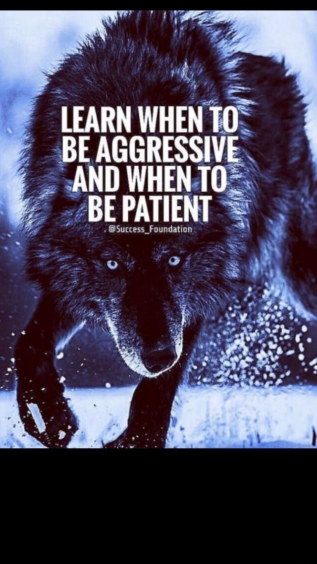 learn-when-to-be-aggressive-and-when-to-be-patient-ifunny