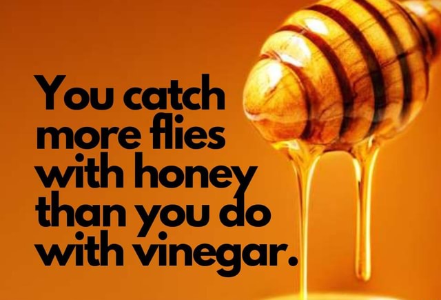 You Catch Flies Honey You Do I With Vinegar Ifunny